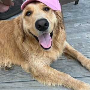 Meet your Posher, Maddy